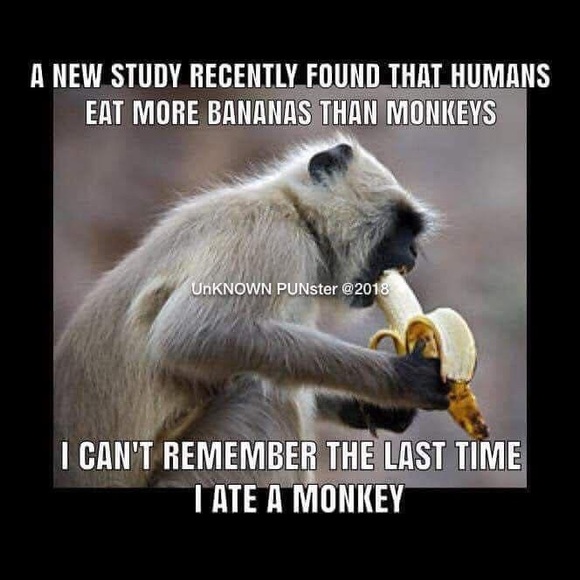 Meet your Posher, Cami - Picture 1 of 2